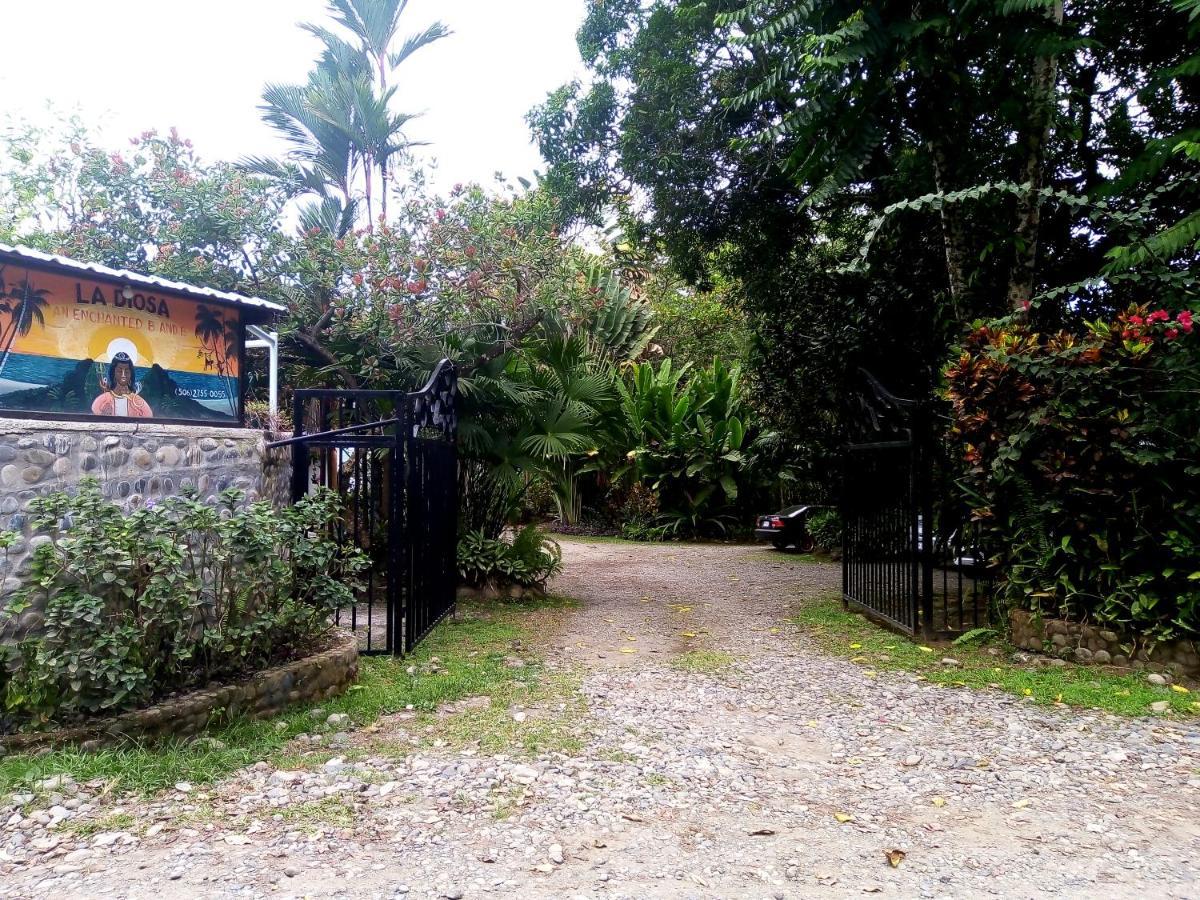 Hotel La Diosa Cahuita Εξωτερικό φωτογραφία
