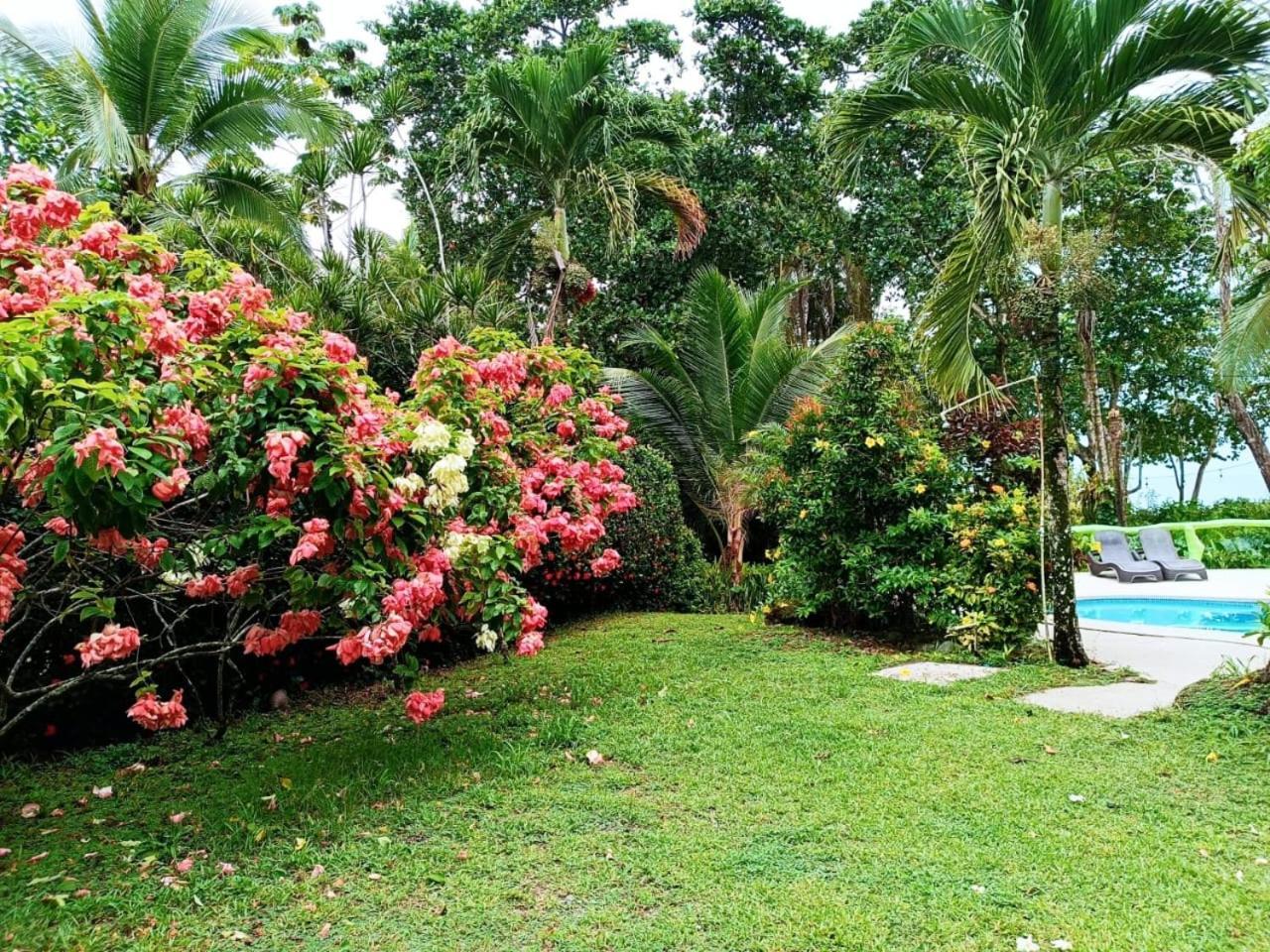 Hotel La Diosa Cahuita Εξωτερικό φωτογραφία