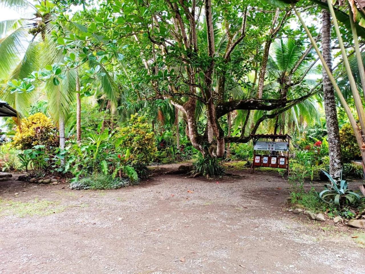 Hotel La Diosa Cahuita Εξωτερικό φωτογραφία