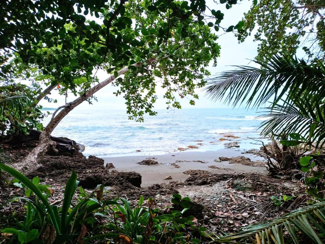 Hotel La Diosa Cahuita Εξωτερικό φωτογραφία