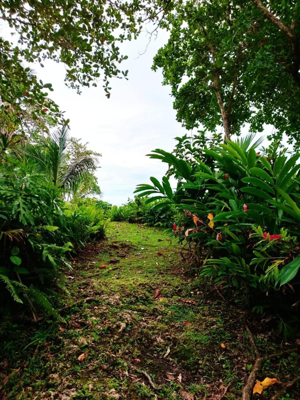 Hotel La Diosa Cahuita Εξωτερικό φωτογραφία