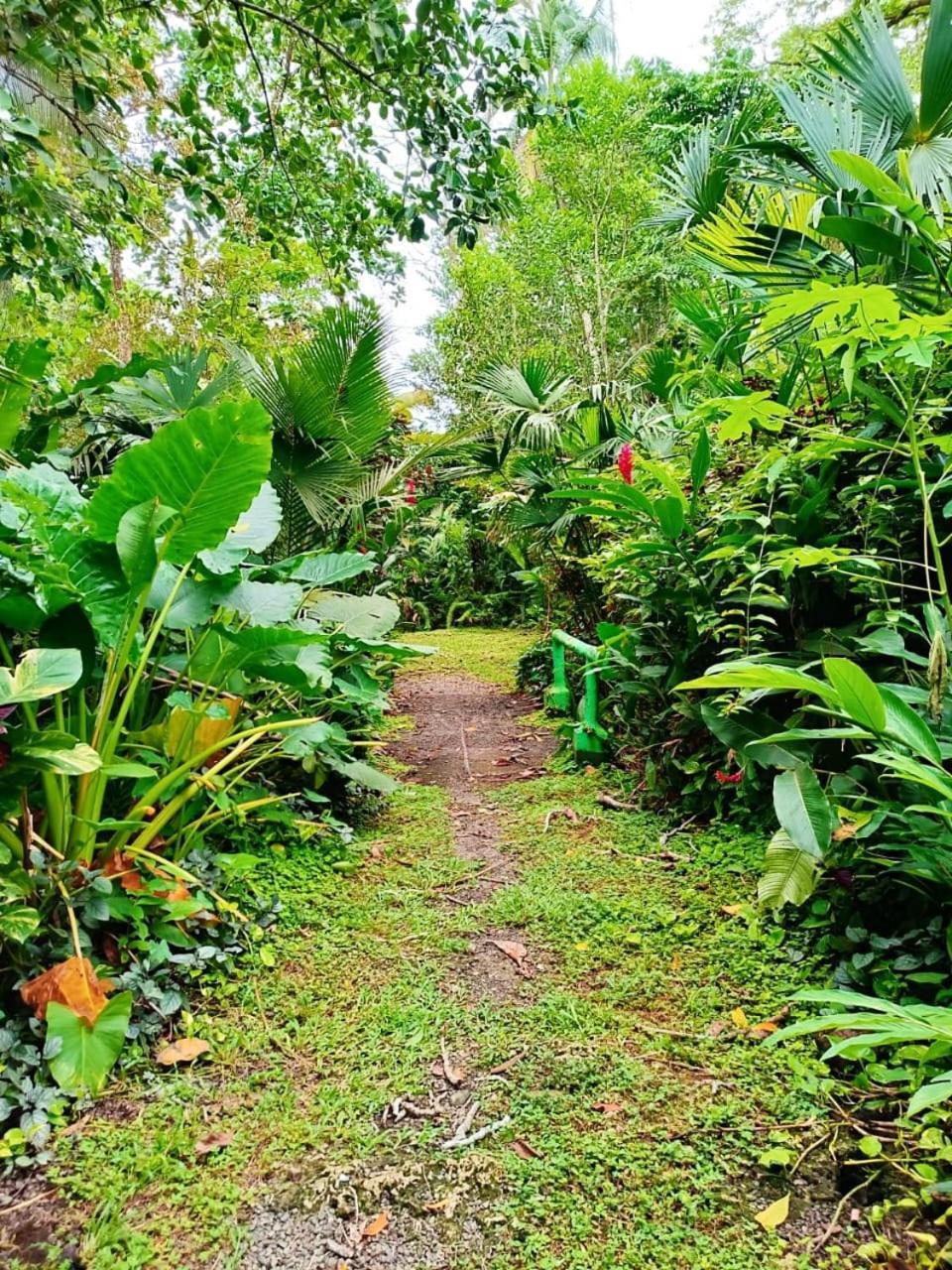 Hotel La Diosa Cahuita Εξωτερικό φωτογραφία