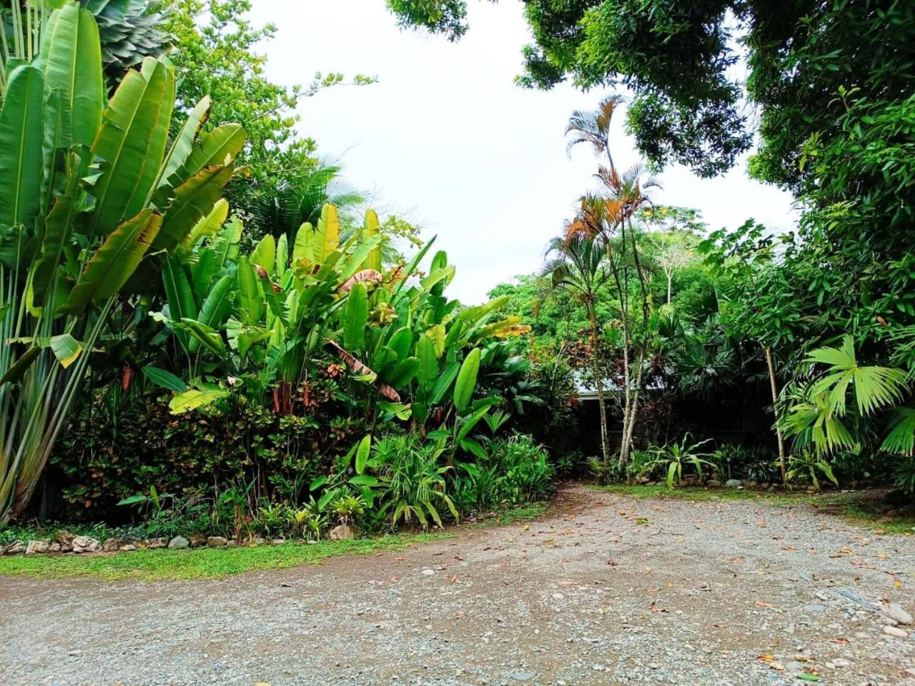 Hotel La Diosa Cahuita Εξωτερικό φωτογραφία