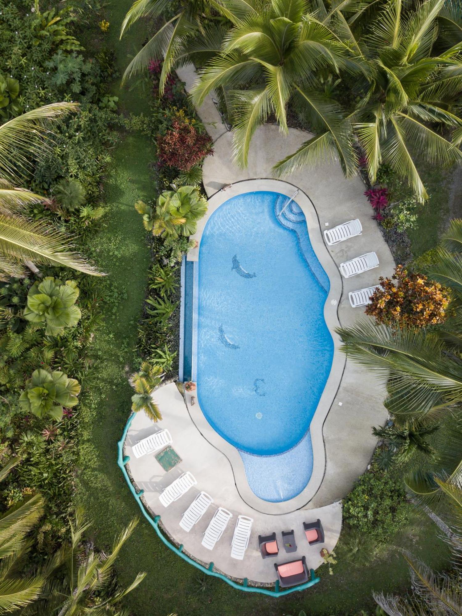 Hotel La Diosa Cahuita Εξωτερικό φωτογραφία