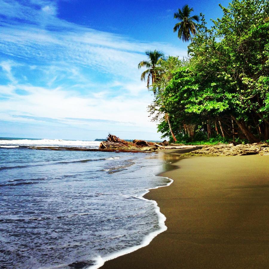 Hotel La Diosa Cahuita Εξωτερικό φωτογραφία