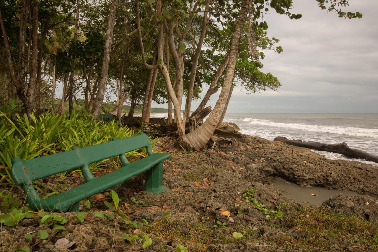 Hotel La Diosa Cahuita Εξωτερικό φωτογραφία