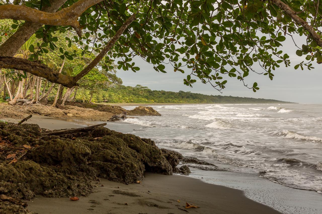 Hotel La Diosa Cahuita Εξωτερικό φωτογραφία