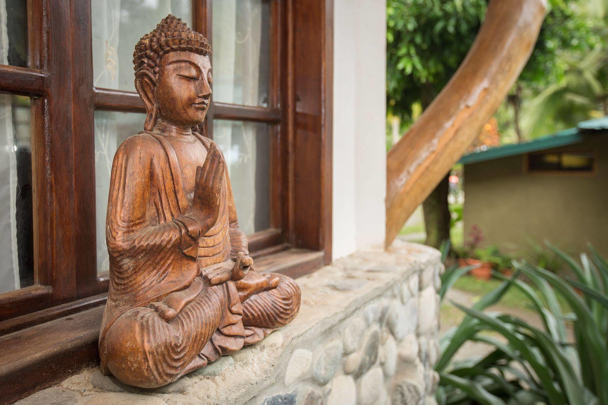 Hotel La Diosa Cahuita Εξωτερικό φωτογραφία